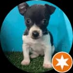 Chuck - Kansas City French Drain customer from Independence, Missouri